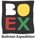 boex_logo_transparent